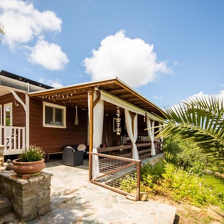 Hakuna Matata Holidays Wooden Lodge With Airco & Pool In Greek Olive Grove Methóni Eksteriør bilde