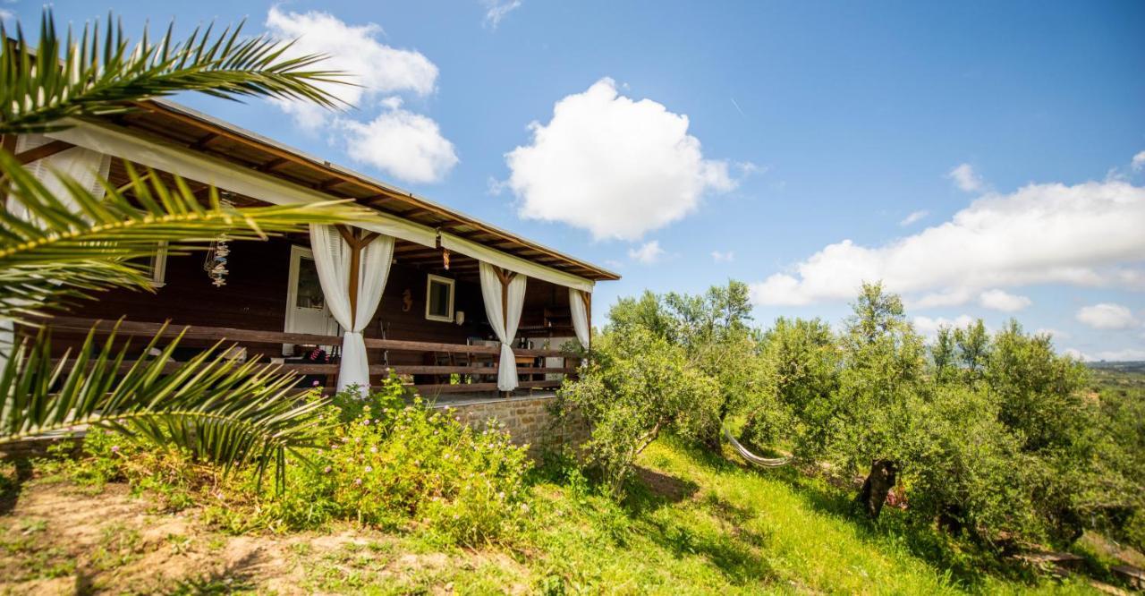 Hakuna Matata Holidays Wooden Lodge With Airco & Pool In Greek Olive Grove Methóni Eksteriør bilde