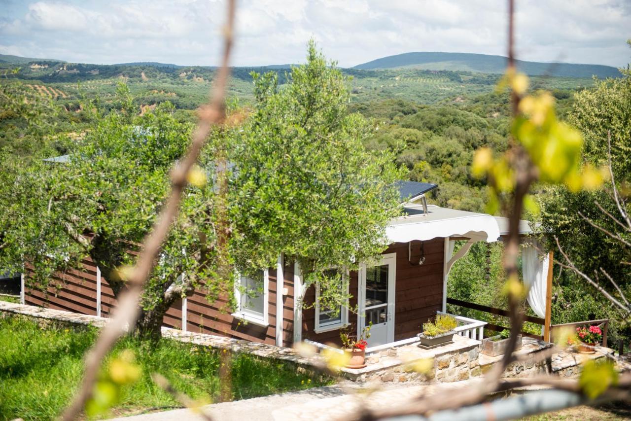 Hakuna Matata Holidays Wooden Lodge With Airco & Pool In Greek Olive Grove Methóni Eksteriør bilde
