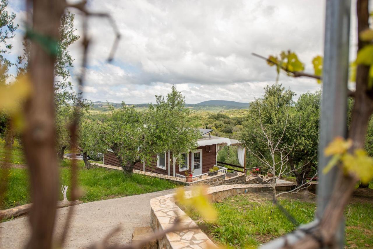 Hakuna Matata Holidays Wooden Lodge With Airco & Pool In Greek Olive Grove Methóni Eksteriør bilde