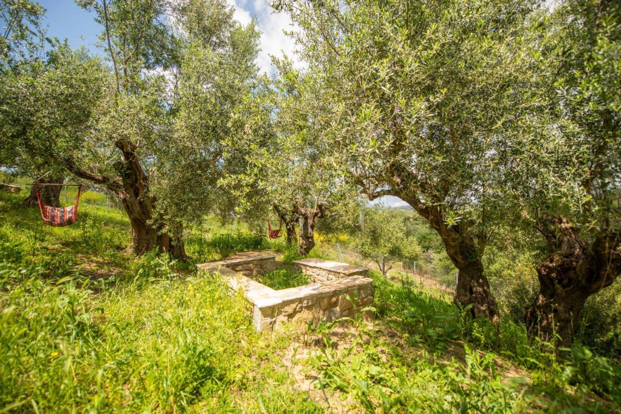 Hakuna Matata Holidays Wooden Lodge With Airco & Pool In Greek Olive Grove Methóni Eksteriør bilde