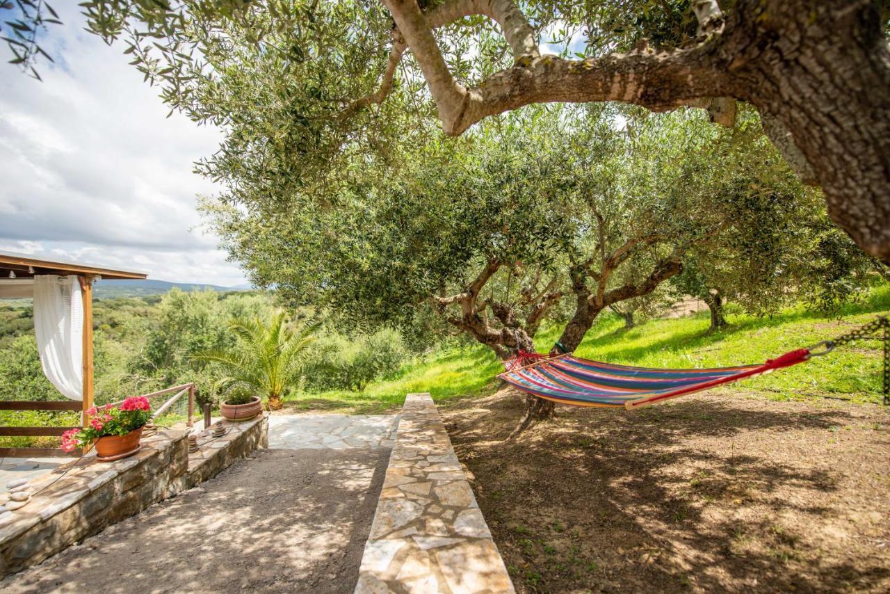 Hakuna Matata Holidays Wooden Lodge With Airco & Pool In Greek Olive Grove Methóni Eksteriør bilde