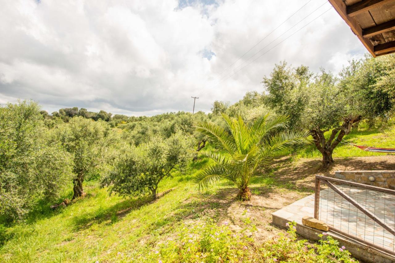 Hakuna Matata Holidays Wooden Lodge With Airco & Pool In Greek Olive Grove Methóni Eksteriør bilde