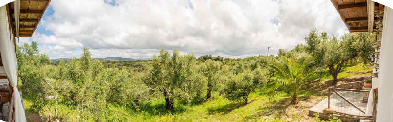 Hakuna Matata Holidays Wooden Lodge With Airco & Pool In Greek Olive Grove Methóni Eksteriør bilde