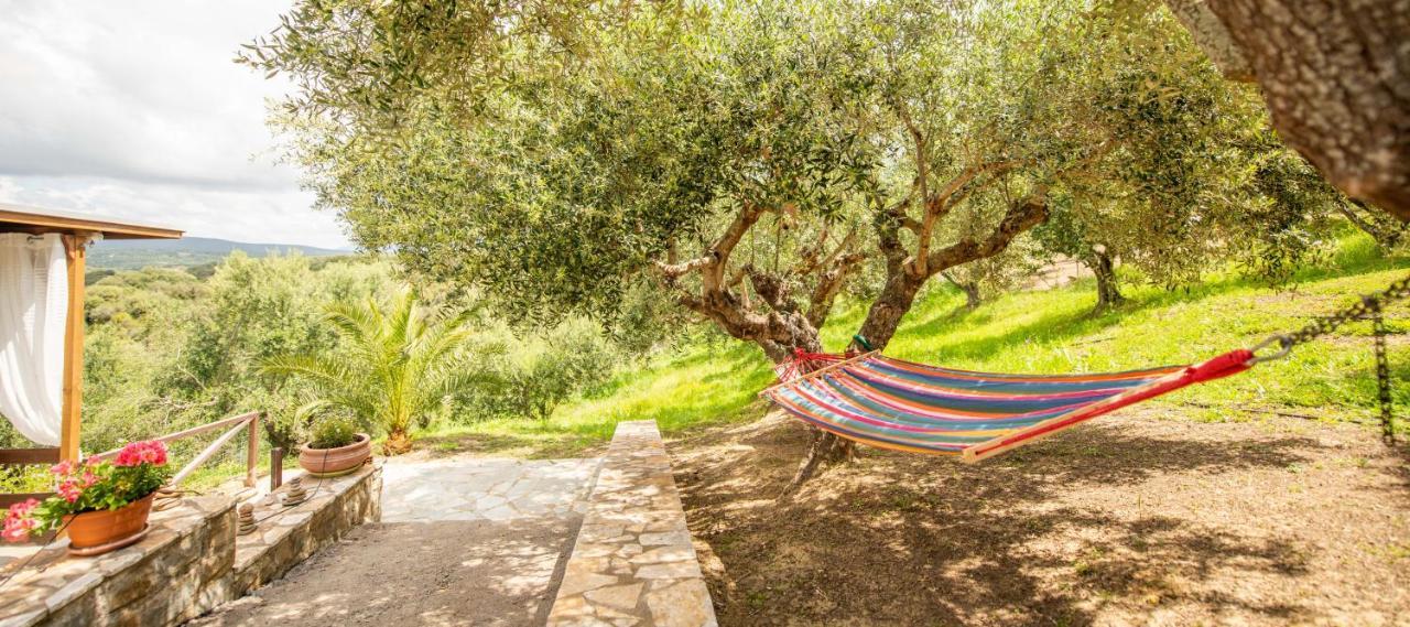 Hakuna Matata Holidays Wooden Lodge With Airco & Pool In Greek Olive Grove Methóni Eksteriør bilde