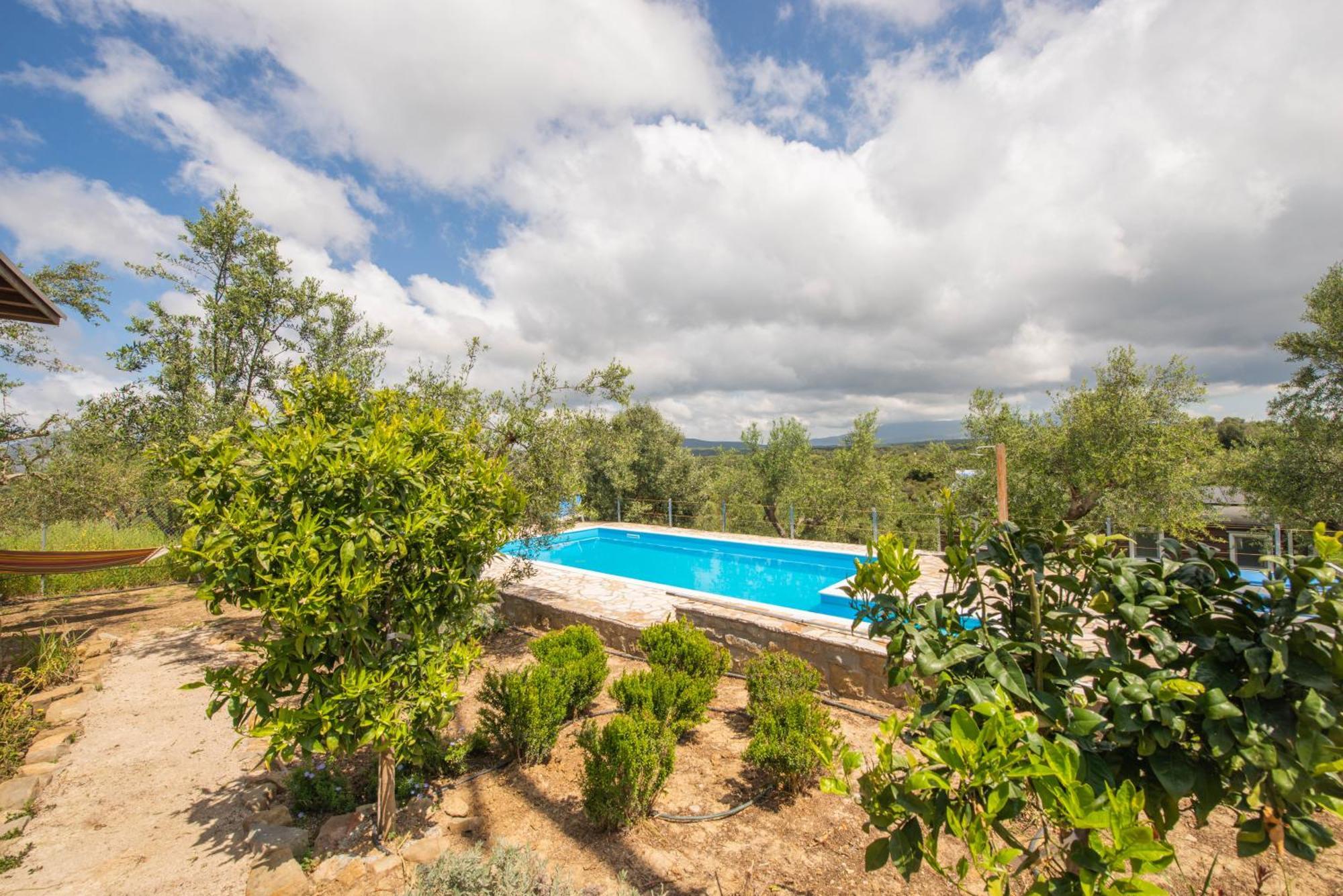 Hakuna Matata Holidays Wooden Lodge With Airco & Pool In Greek Olive Grove Methóni Eksteriør bilde