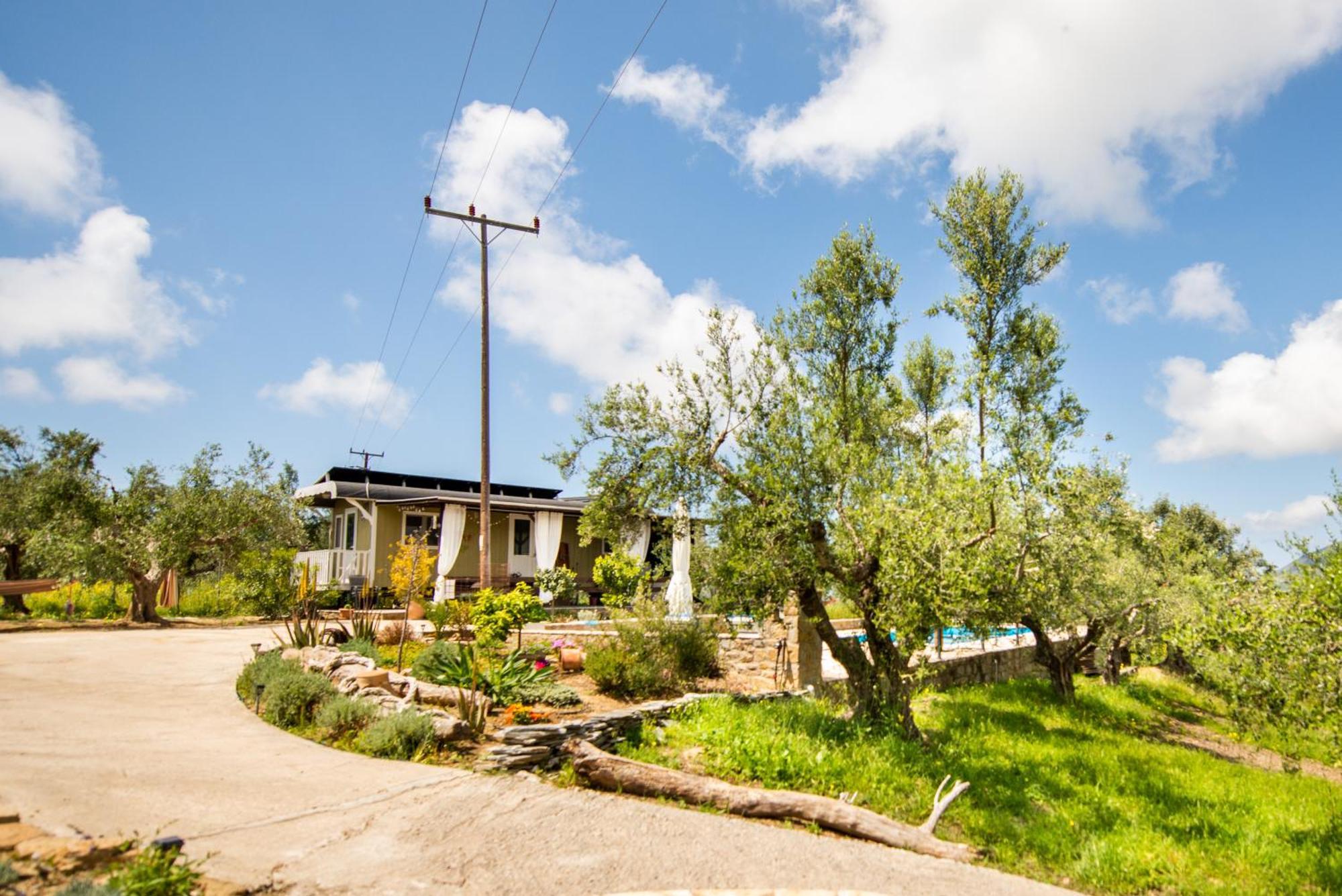 Hakuna Matata Holidays Wooden Lodge With Airco & Pool In Greek Olive Grove Methóni Eksteriør bilde